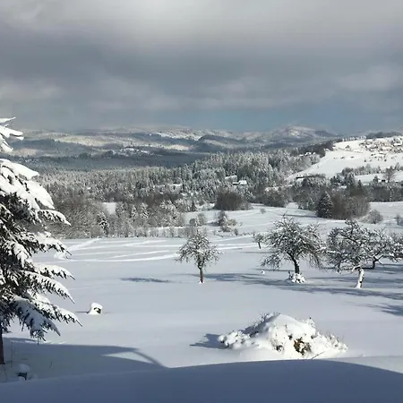 Dorka * ايستينبا